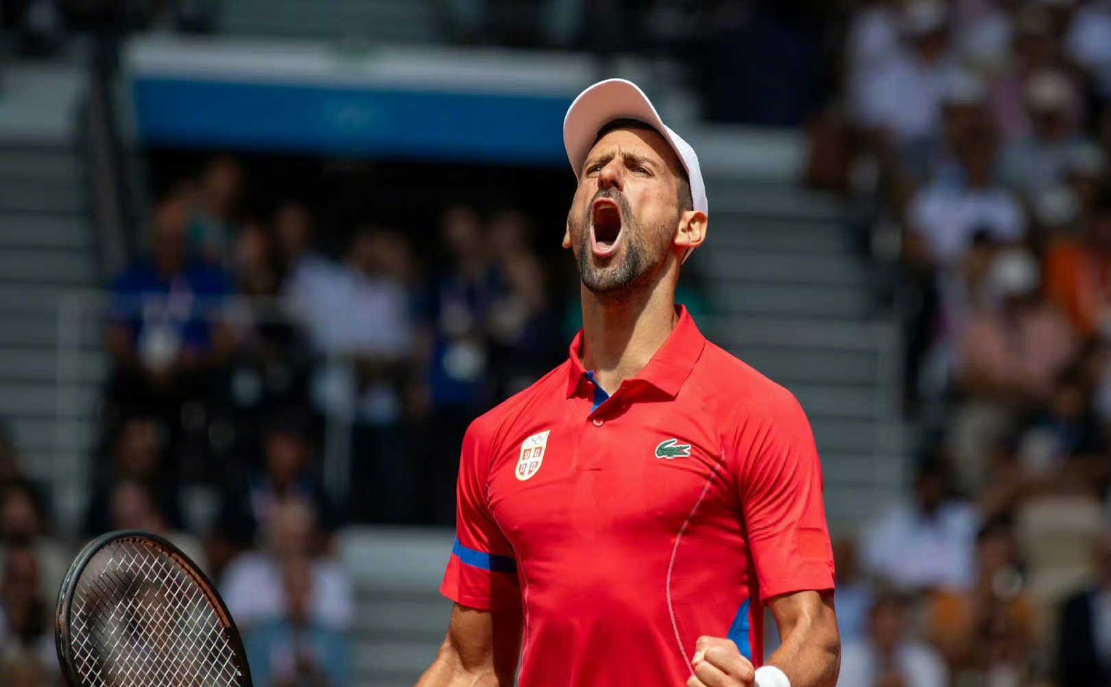 开云下载-日本网球队翻盘世界网球队，费德勒完成帽子戏法的简单介绍