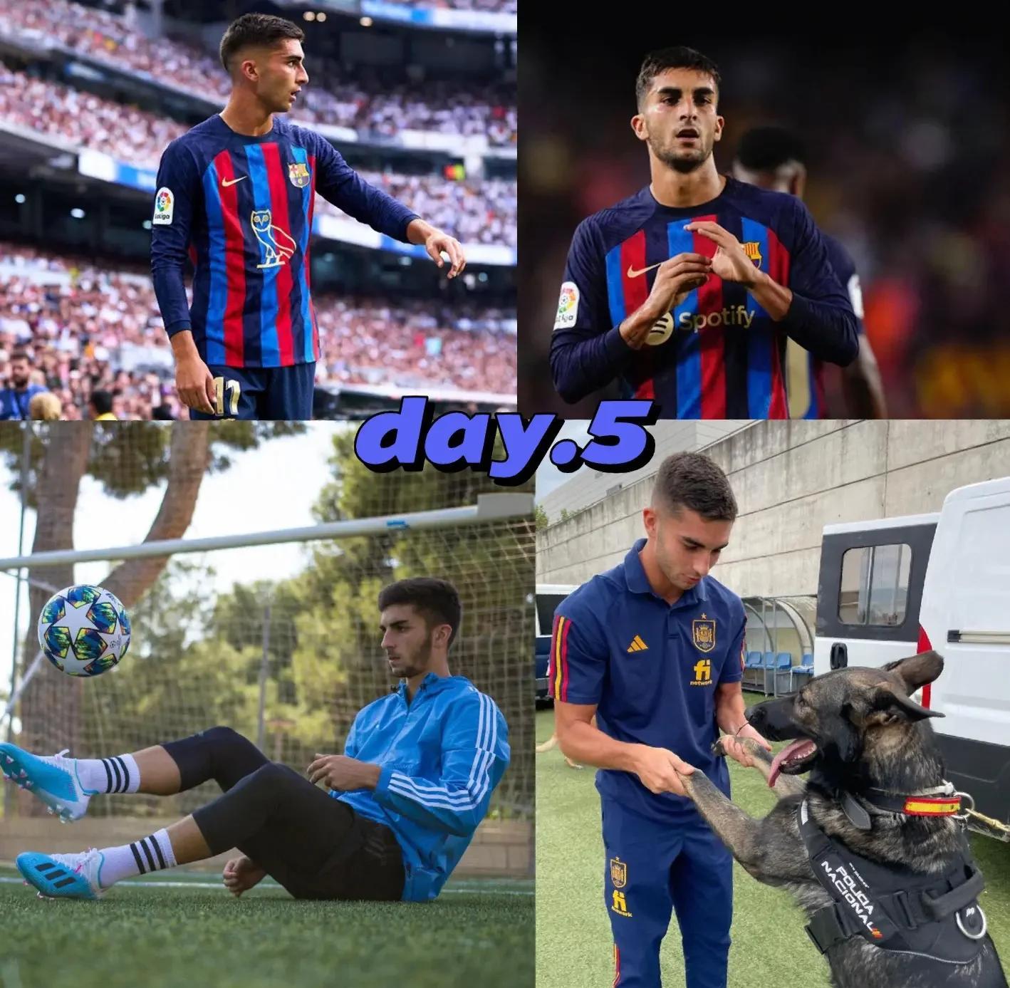 开云体育直播-曼城翻盘比利时，费兰·托雷斯高光表现的简单介绍