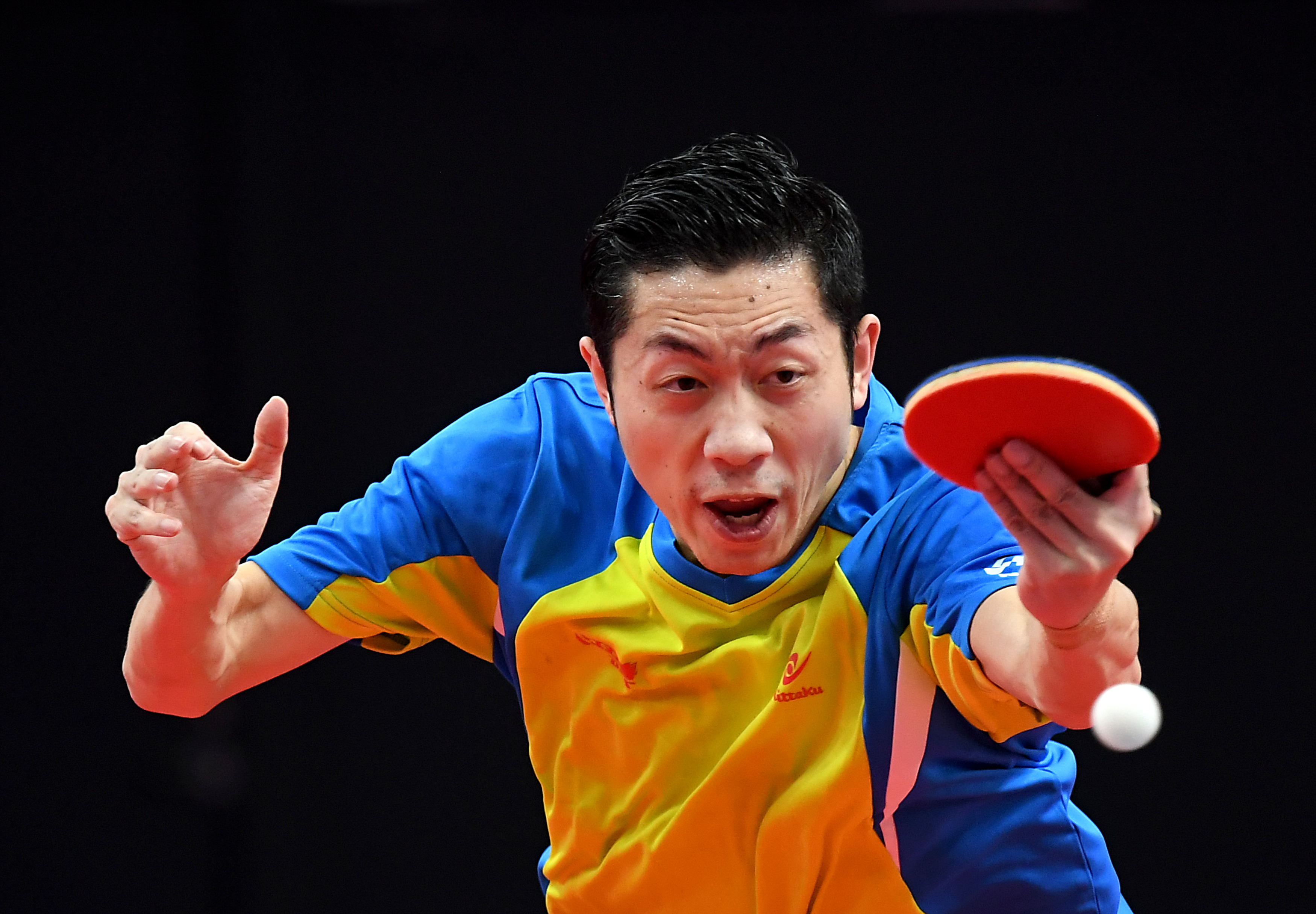 日本乒乓球队轻取韩国乒乓球队，许昕惊艳世界的简单介绍