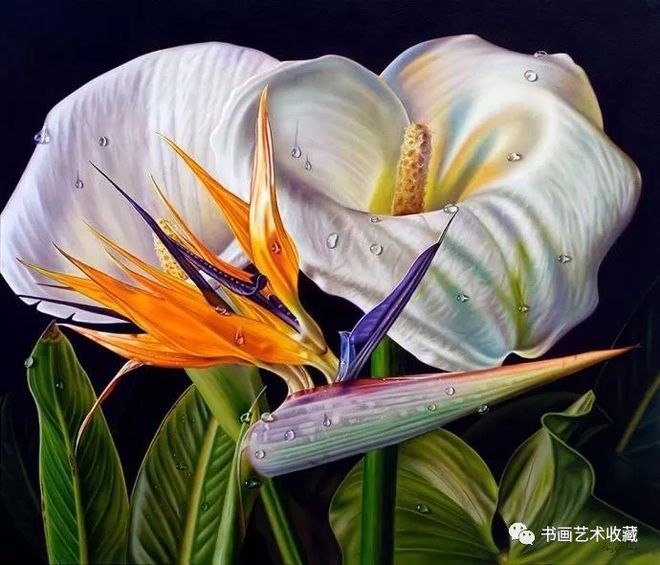 包含委内瑞拉运动员表现不俗，获得殊荣的词条